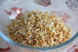 food, healthy, meal, epicure, sprouts, bowl, fenugreek, ingredient, organic, vitamin, fenugreek, fenugreek, fenugreek, fenugreek, fenugreek